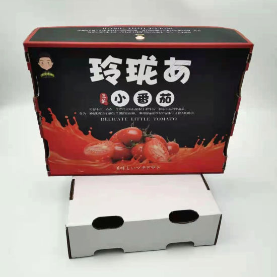 China Suppliers Custom Shipping Corrugated Paper Carton Packaging Box