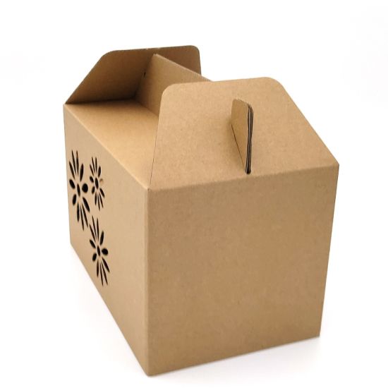 Folding Snack Packaging Carton Color Printing Paper Box with Handle